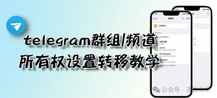 如何在 Telegram 群中轉讓群主許可權?